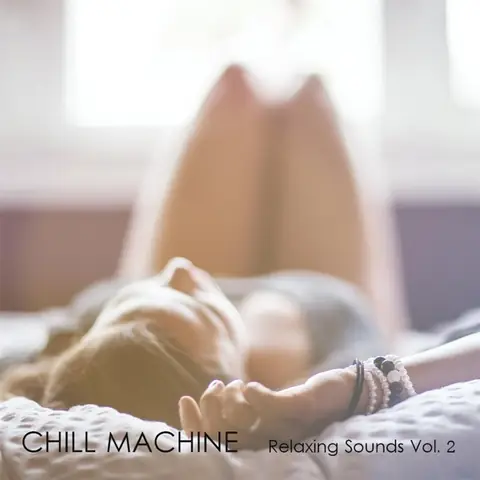Cover art for Relaxing Sounds, Vol. 2 by Chill Machine
